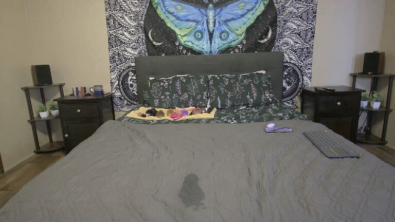 SweetBridget's Streamate show and profile